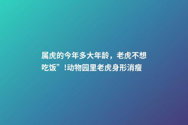 属虎的今年多大年龄，老虎不想吃饭”!动物园里老虎身形消瘦-第1张-观点-玄机派