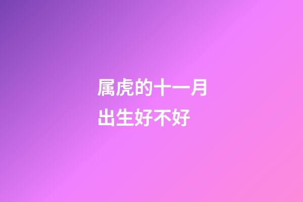 属虎的十一月出生好不好