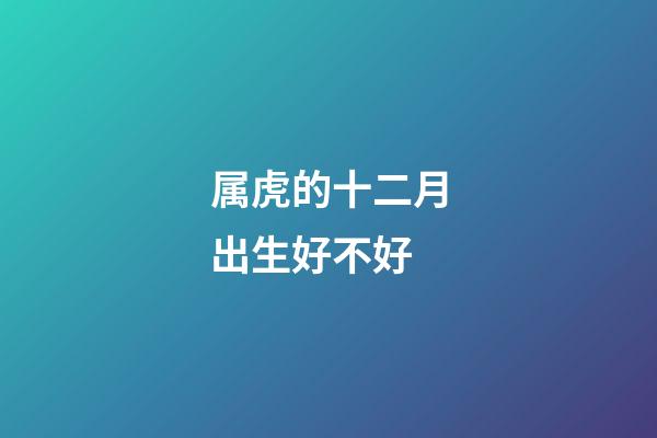 属虎的十二月出生好不好