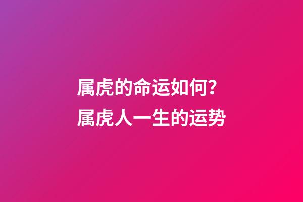 属虎的命运如何？属虎人一生的运势