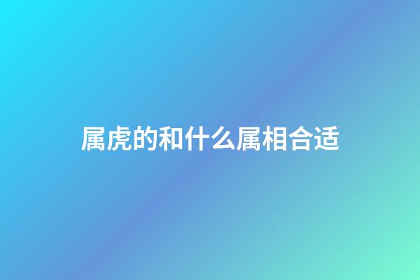 属虎的和什么属相合适