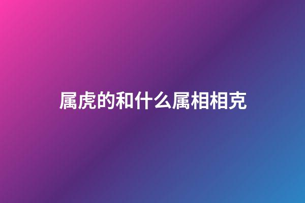 属虎的和什么属相相克