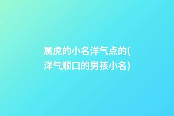 属虎的小名洋气点的(洋气顺口的男孩小名)