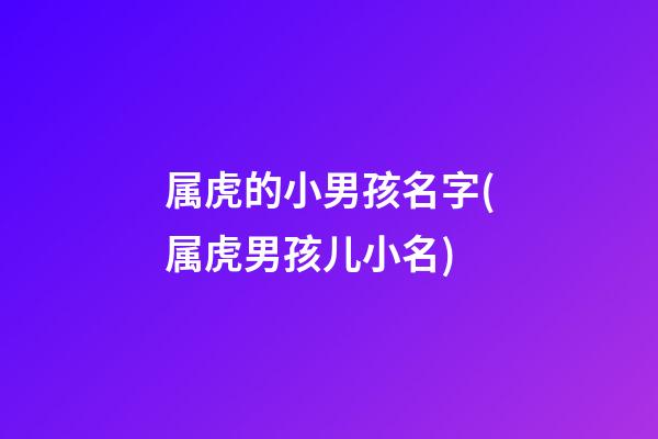 属虎的小男孩名字(属虎男孩儿小名)
