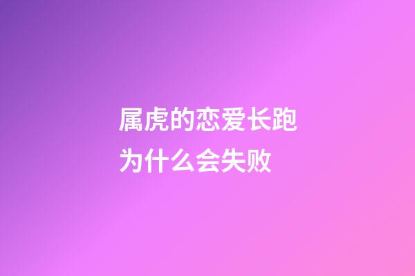 属虎的恋爱长跑为什么会失败