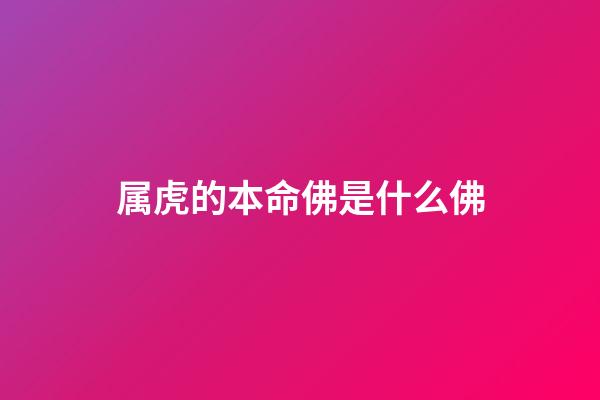 属虎的本命佛是什么佛