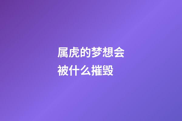 属虎的梦想会被什么摧毁