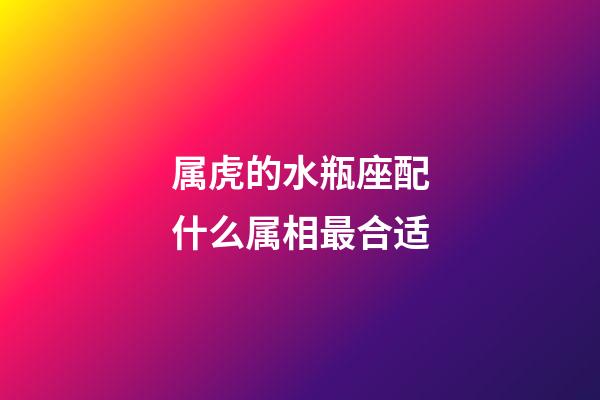 属虎的水瓶座配什么属相最合适-第1张-星座运势-玄机派