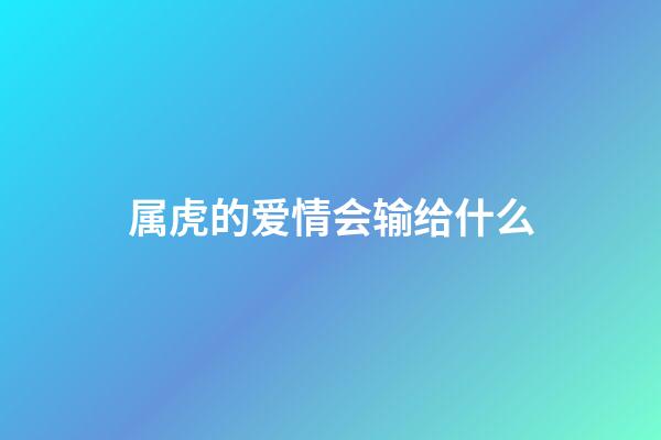 属虎的爱情会输给什么