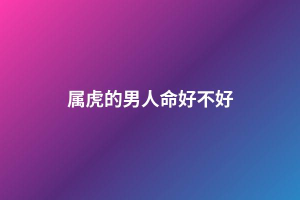 属虎的男人命好不好
