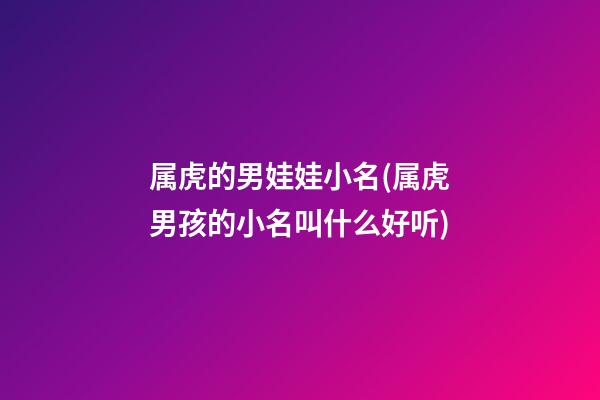 属虎的男娃娃小名(属虎男孩的小名叫什么好听)