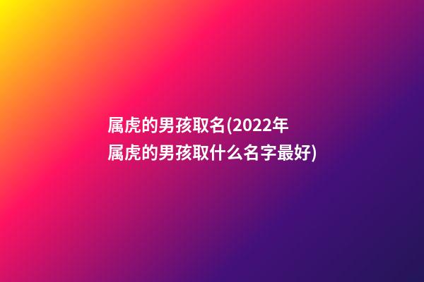 属虎的男孩取名(2022年属虎的男孩取什么名字最好)
