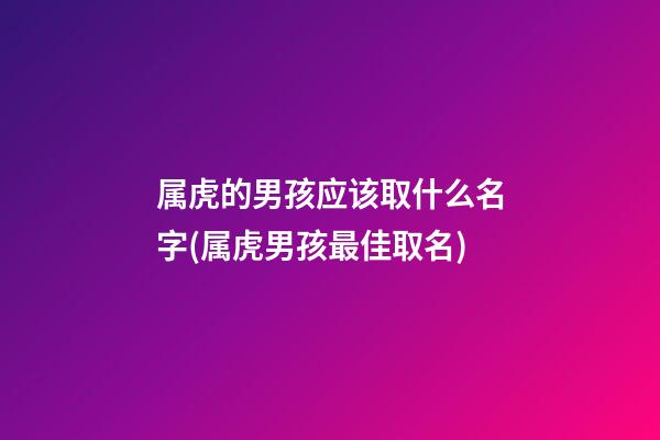 属虎的男孩应该取什么名字(属虎男孩最佳取名)
