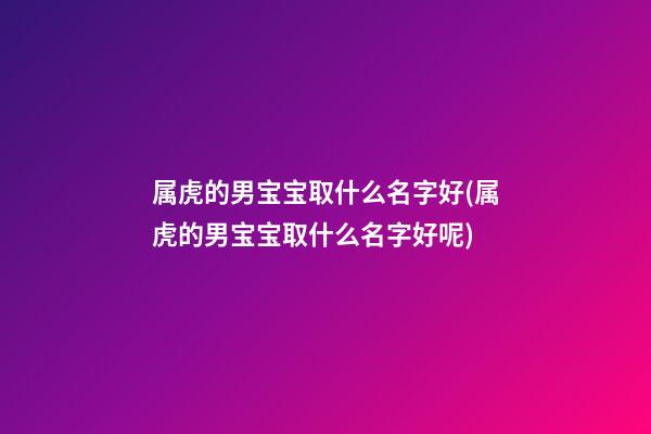 属虎的男宝宝取什么名字好(属虎的男宝宝取什么名字好呢)