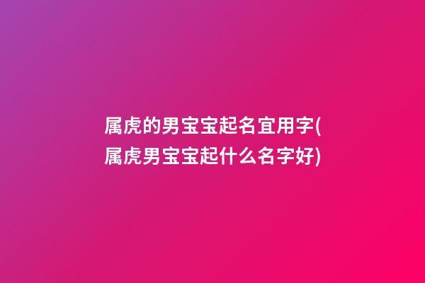 属虎的男宝宝起名宜用字(属虎男宝宝起什么名字好)