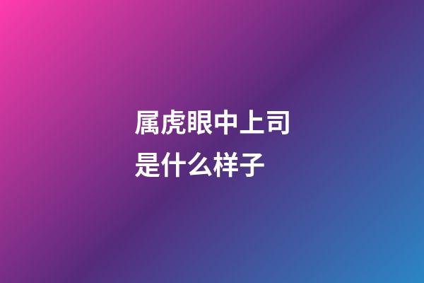 属虎眼中上司是什么样子