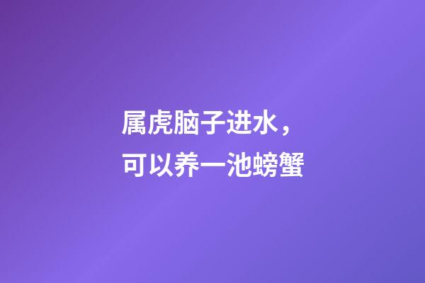 属虎脑子进水，可以养一池螃蟹