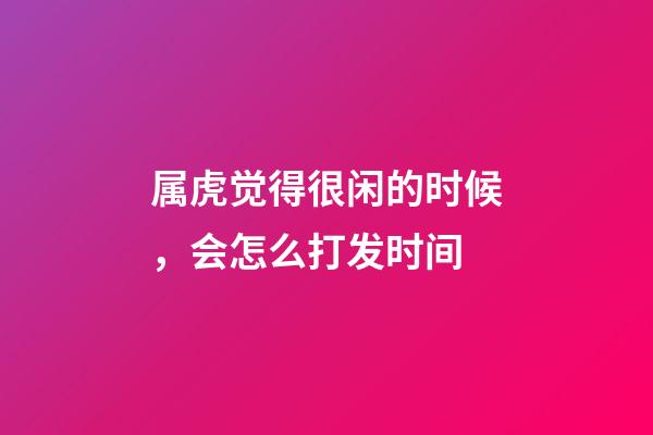 属虎觉得很闲的时候，会怎么打发时间