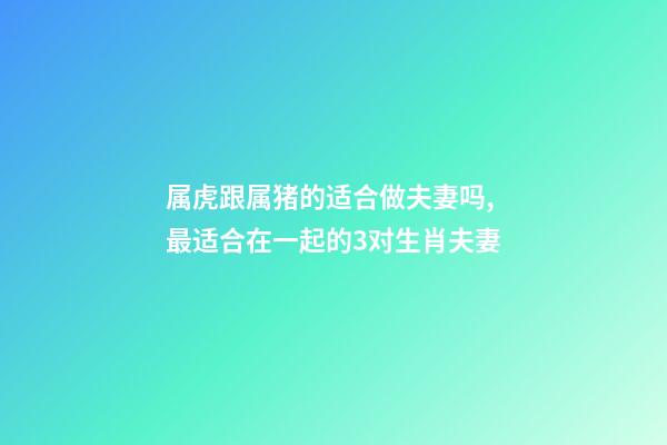 属虎跟属猪的适合做夫妻吗,最适合在一起的3对生肖夫妻-第1张-观点-玄机派