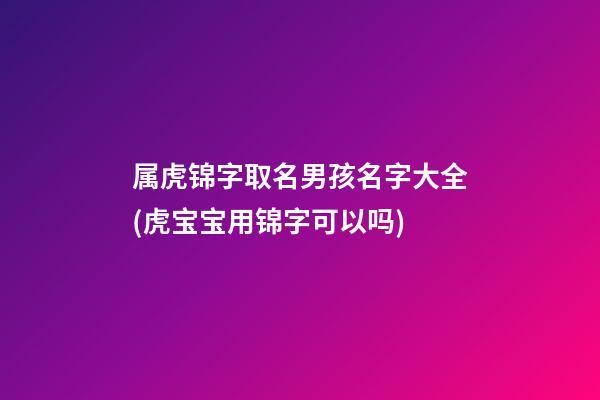属虎锦字取名男孩名字大全(虎宝宝用锦字可以吗)