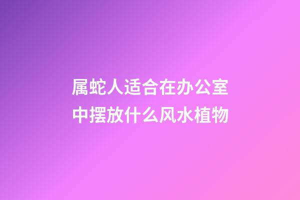 属蛇人适合在办公室中摆放什么风水植物