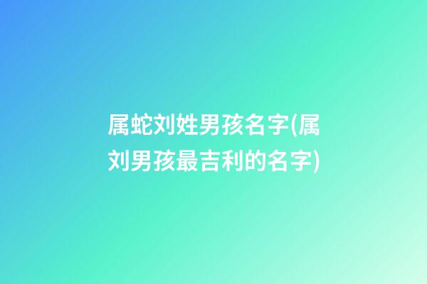 属蛇刘姓男孩名字(属刘男孩最吉利的名字)