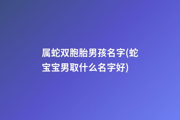 属蛇双胞胎男孩名字(蛇宝宝男取什么名字好)