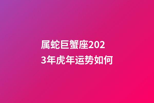 属蛇巨蟹座2023年虎年运势如何