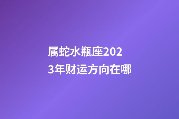 属蛇水瓶座2023年财运方向在哪-第1张-星座运势-玄机派