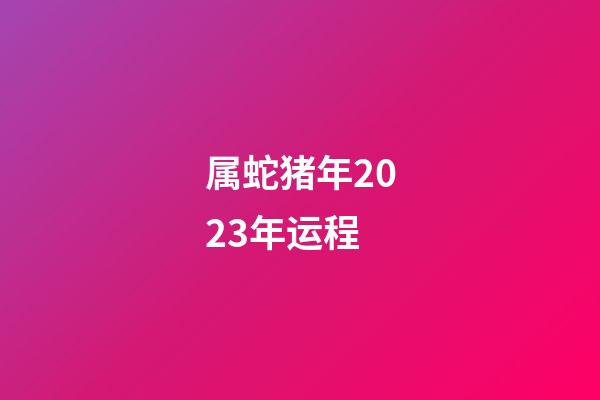 属蛇猪年2023年运程