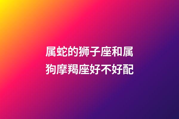 属蛇的狮子座和属狗摩羯座好不好配-第1张-星座运势-玄机派