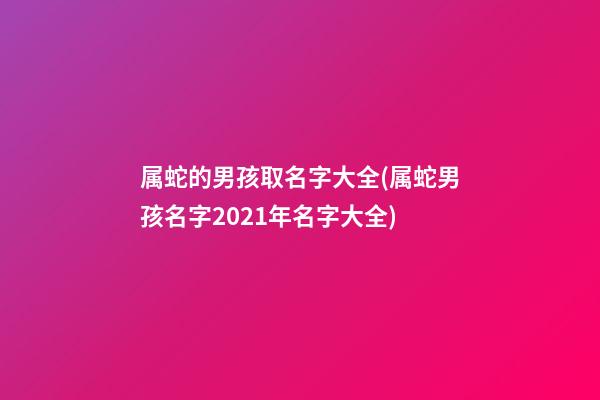 属蛇的男孩取名字大全(属蛇男孩名字2021年名字大全)