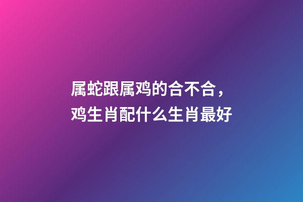 属蛇跟属鸡的合不合，鸡生肖配什么生肖最好-第1张-观点-玄机派