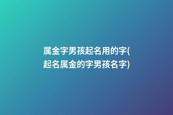 属金字男孩起名用的字(起名属金的字男孩名字)