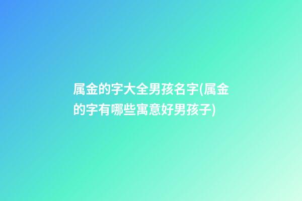 属金的字大全男孩名字(属金的字有哪些寓意好男孩子)