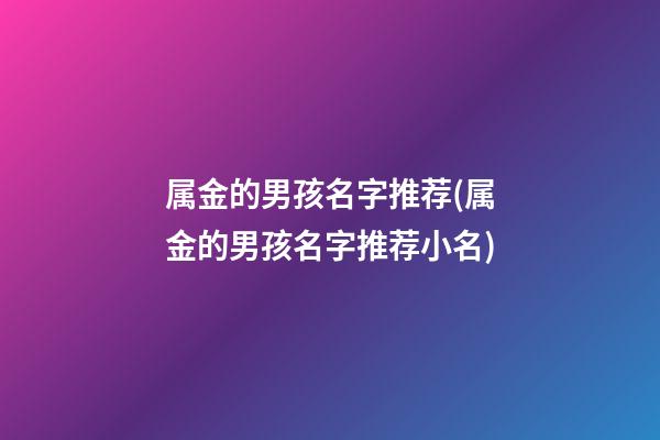 属金的男孩名字推荐(属金的男孩名字推荐小名)