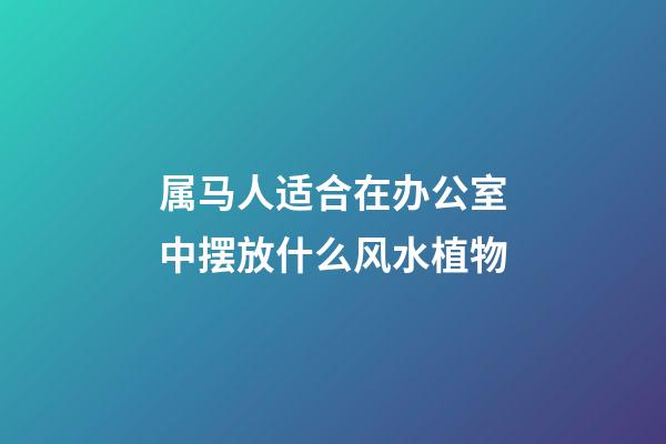 属马人适合在办公室中摆放什么风水植物