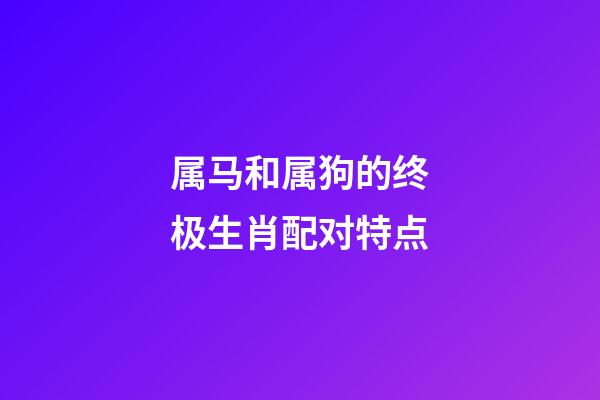 属马和属狗的终极生肖配对特点