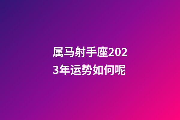 属马射手座2023年运势如何呢-第1张-星座运势-玄机派