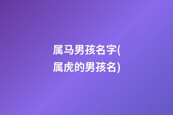 属马男孩名字(属虎的男孩名)