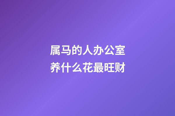 属马的人办公室养什么花最旺财