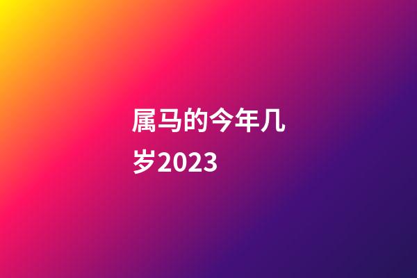 属马的今年几岁2023