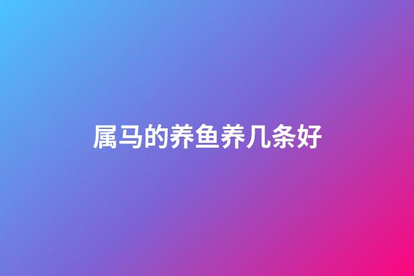 属马的养鱼养几条好