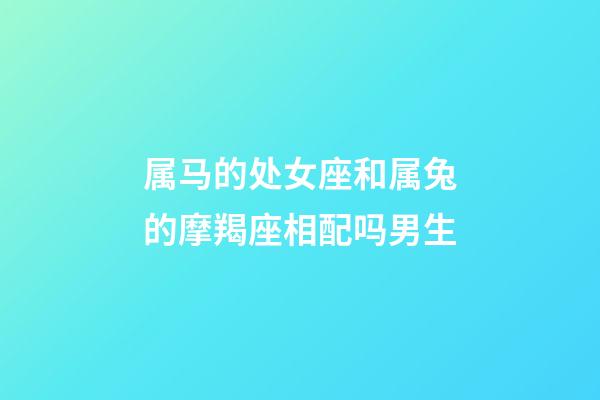 属马的处女座和属兔的摩羯座相配吗男生-第1张-星座运势-玄机派