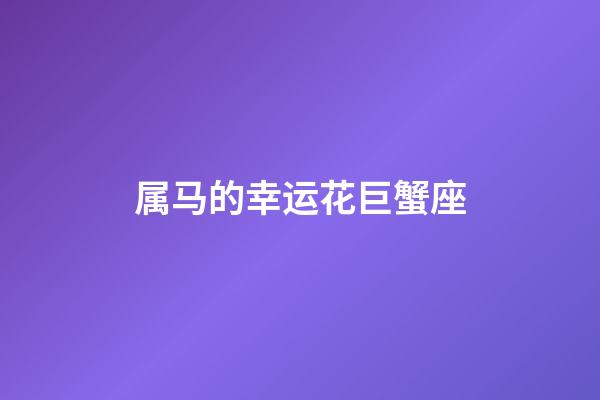 属马的幸运花巨蟹座-第1张-星座运势-玄机派