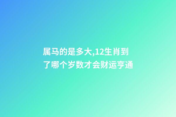 属马的是多大,12生肖到了哪个岁数才会财运亨通-第1张-观点-玄机派