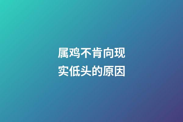 属鸡不肯向现实低头的原因
