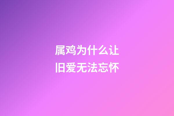 属鸡为什么让旧爱无法忘怀