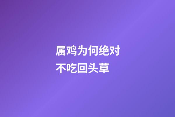属鸡为何绝对不吃回头草