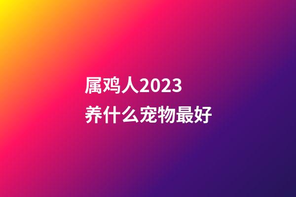 属鸡人2023养什么宠物最好